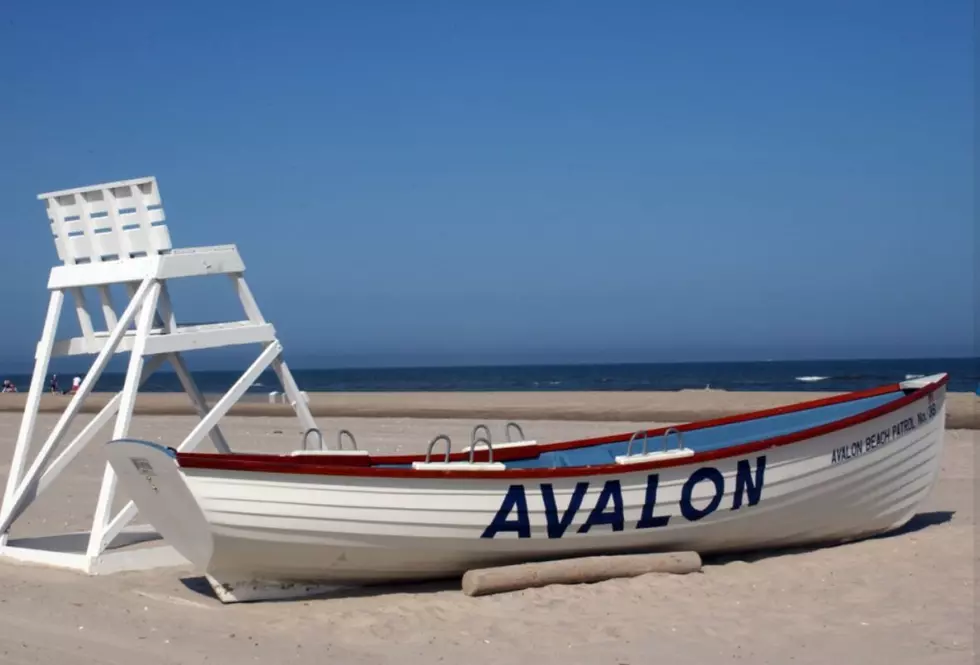 All the Awesome Movies You Can Watch on Avalon NJ Beach This Summer