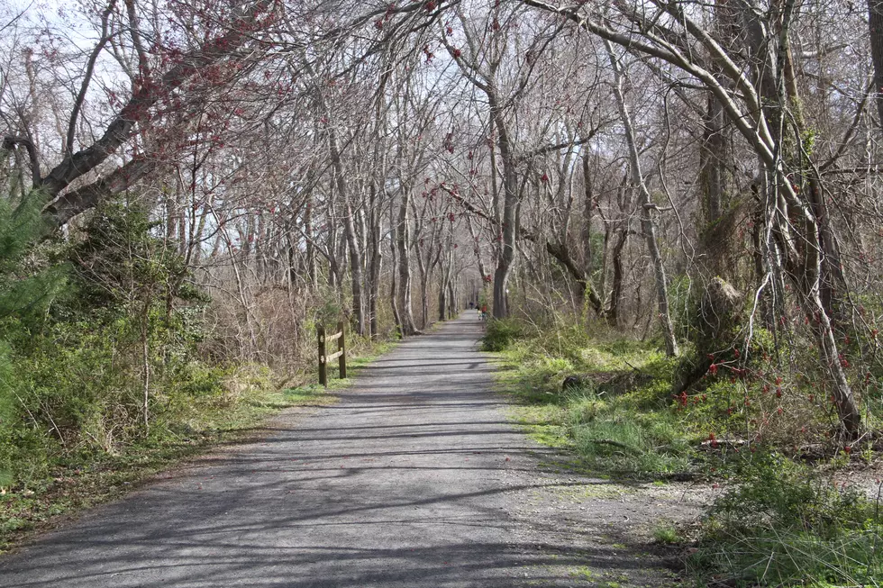 Woman found dead along Barnegat Branch Trail in Waretown