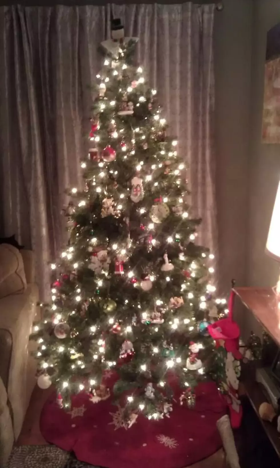 Heather’s Christmas Tree, Part One